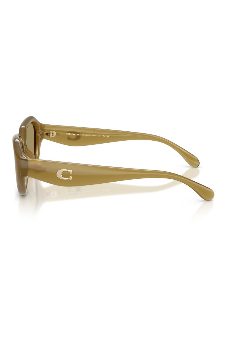 52mm Irregular Sunglasses, Alternate, color, MILKY WASABI / GREEN FLASH