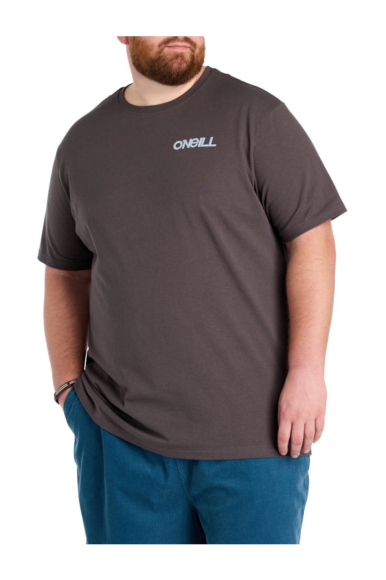 Big & Tall Dawn Classic Graphic Tee, Main, color, GRAPHITE