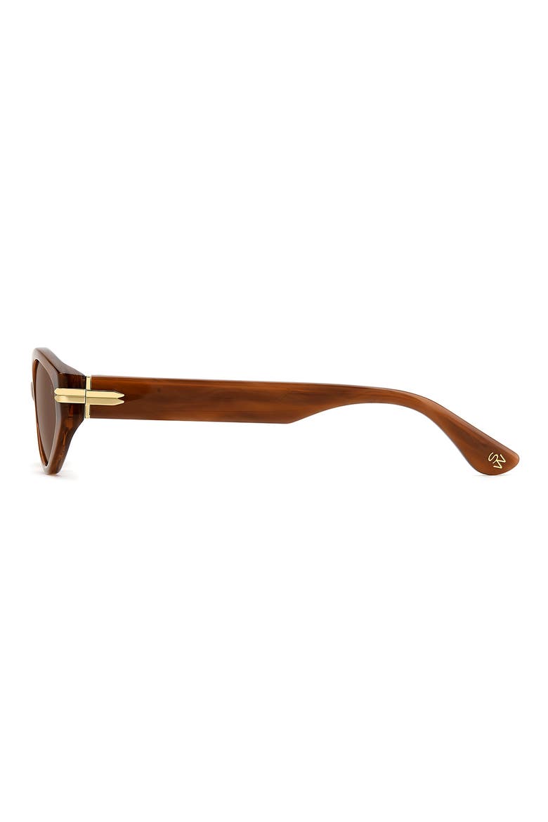 WZN 8029/S 54mm Oval Sunglasses, Alternate, color, HAVANA BROWN/ BROWN