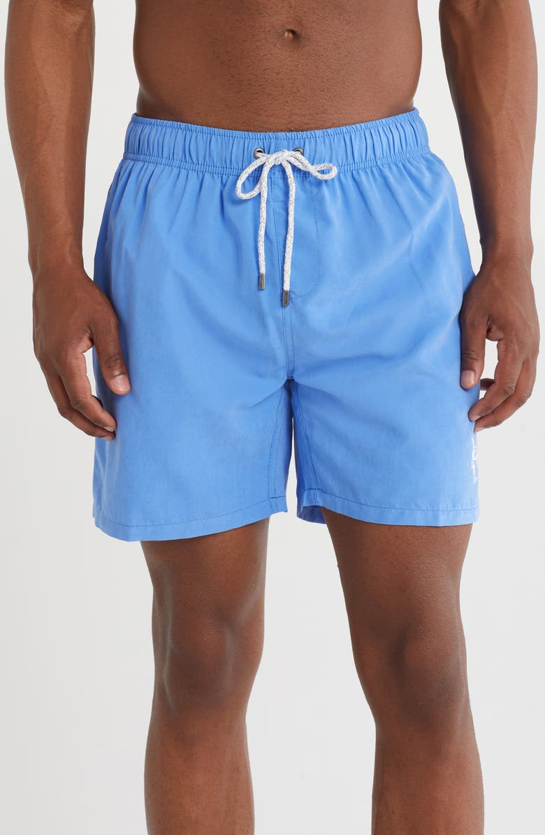 Vintage Summer Volley Swim Trunks, Main, color, Blue