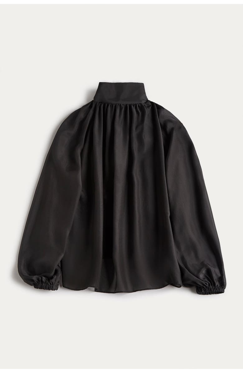 NAKED CASHMERE Amara Silk Organza Blouse, Alternate, color, Black