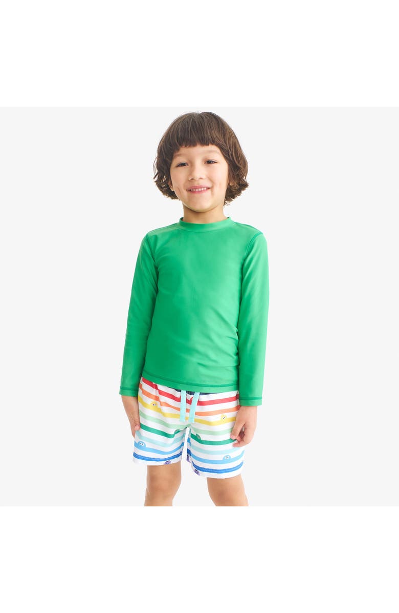 Primary Kids Sesame Street Swim Trunk, Alternate, color, White Sesame Street Stripes