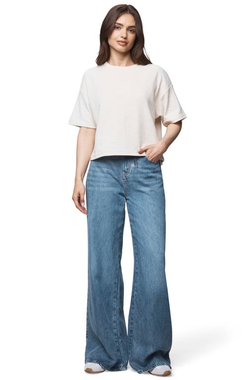 Splendid Callista Short Sleeve T-shirt In Neutral