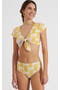selected Pineapple Sunflower White