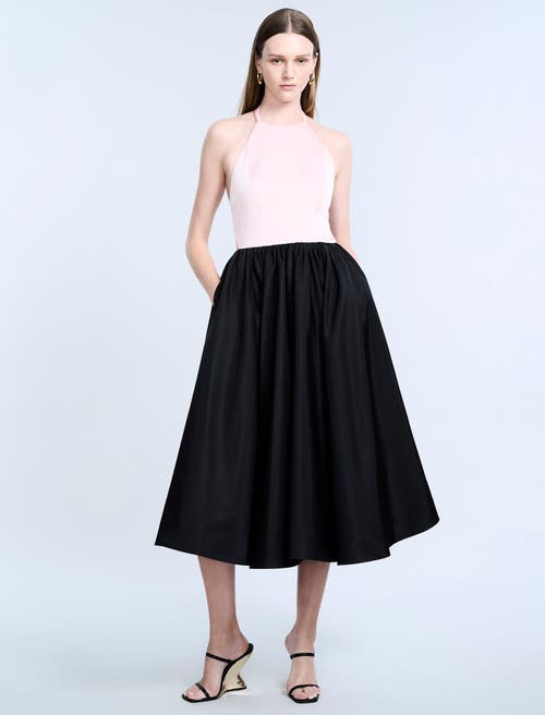 bcbg Halter Tea Length Dress in Black/blossom 