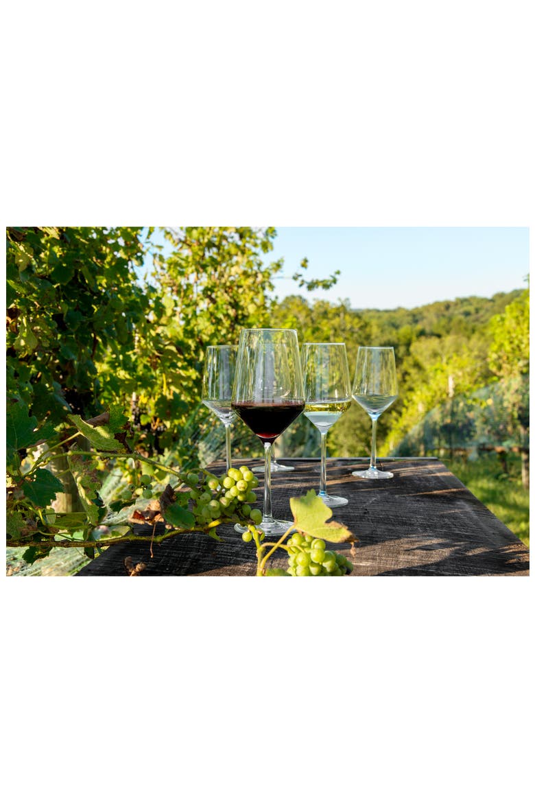 Pure Set of 8 Red & White Wine Glasses, Alternate, color, CLEAR