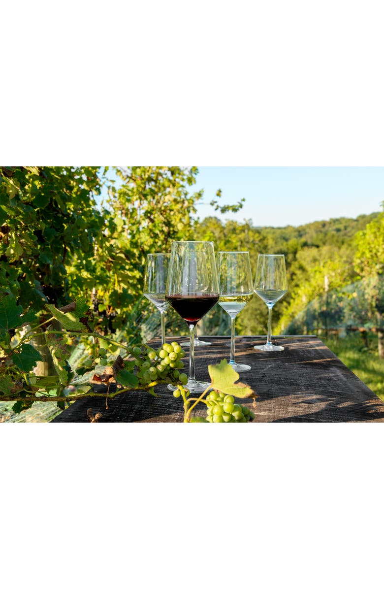 Schott Zwiesel Pure Set of 8 Red & White Wine Glasses, Alternate, color, Clear
