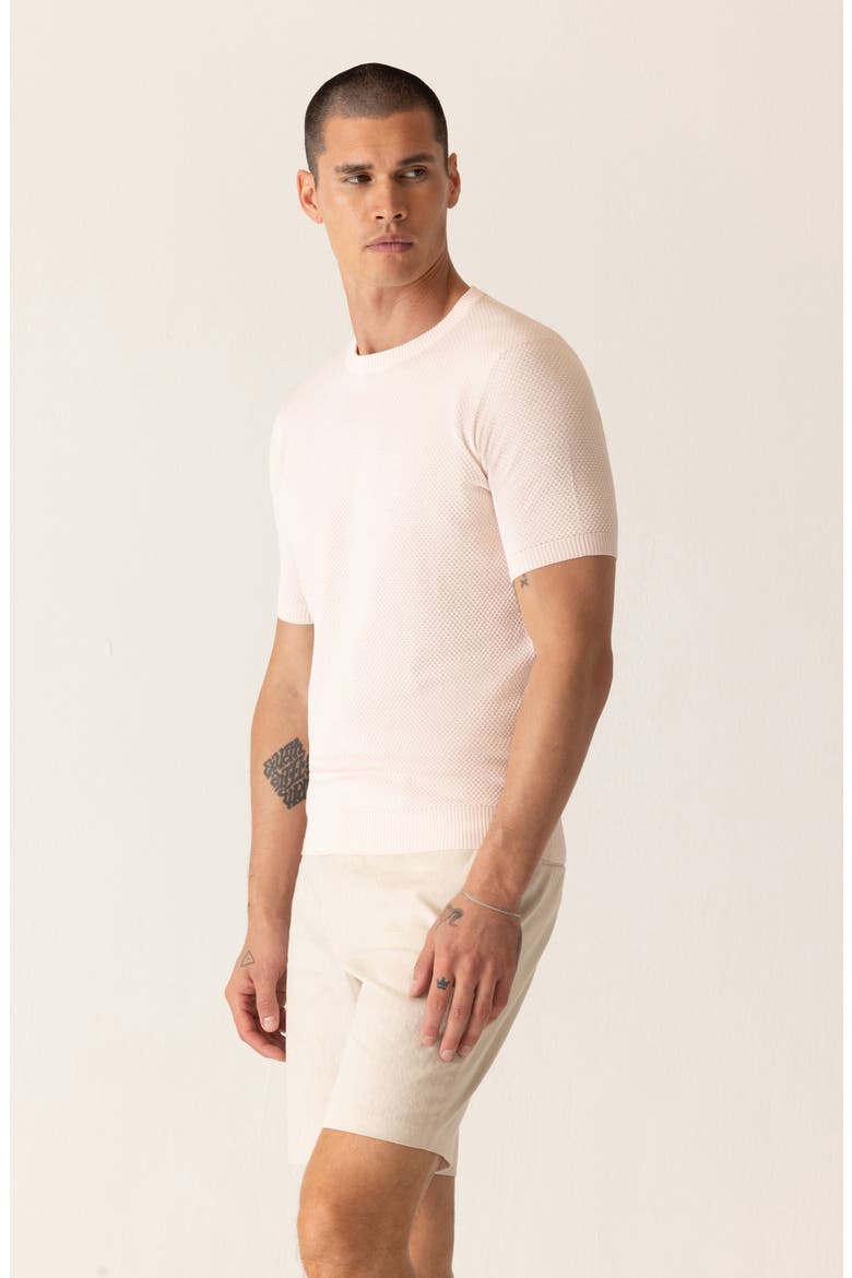 Modern Texture Knit T-Shirt, Alternate, color, ROSE ALL DAY