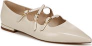 Sam Edelman Cass Pointed Toe Flat