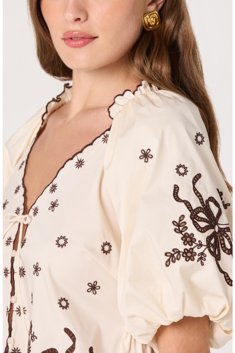 Lucia Embroidered Balloon Sleeve Top, Alternate, color, CREAM