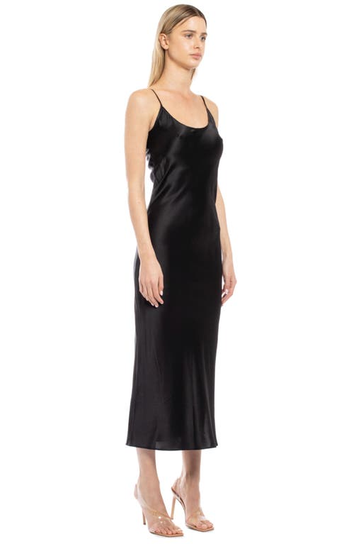 Mother Of All Kelly Dress In Black