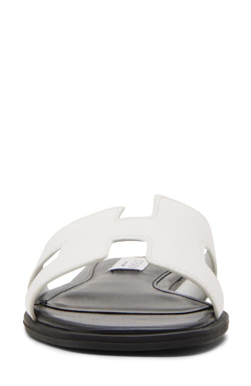 Steven New York Harlien Slide Sandal In Multi