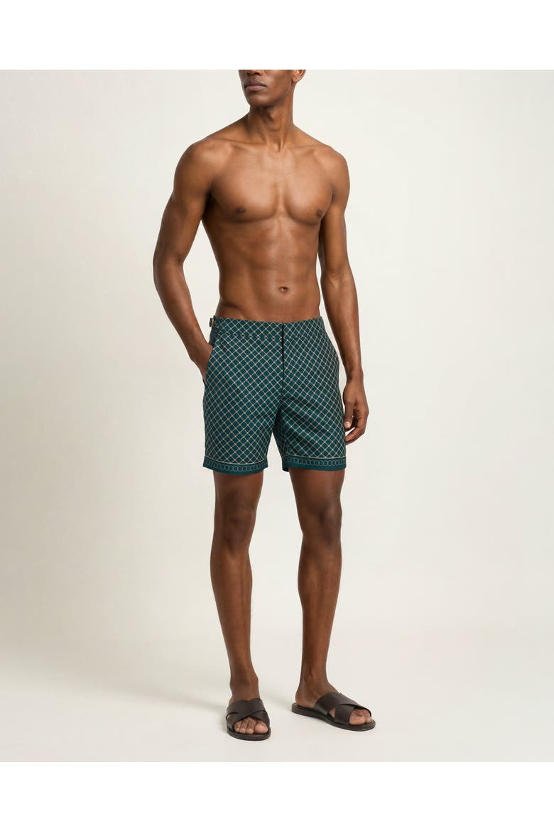 Bulldog Mid-Length Printed Border Swim Shorts, Main, color, LARIO GREEN