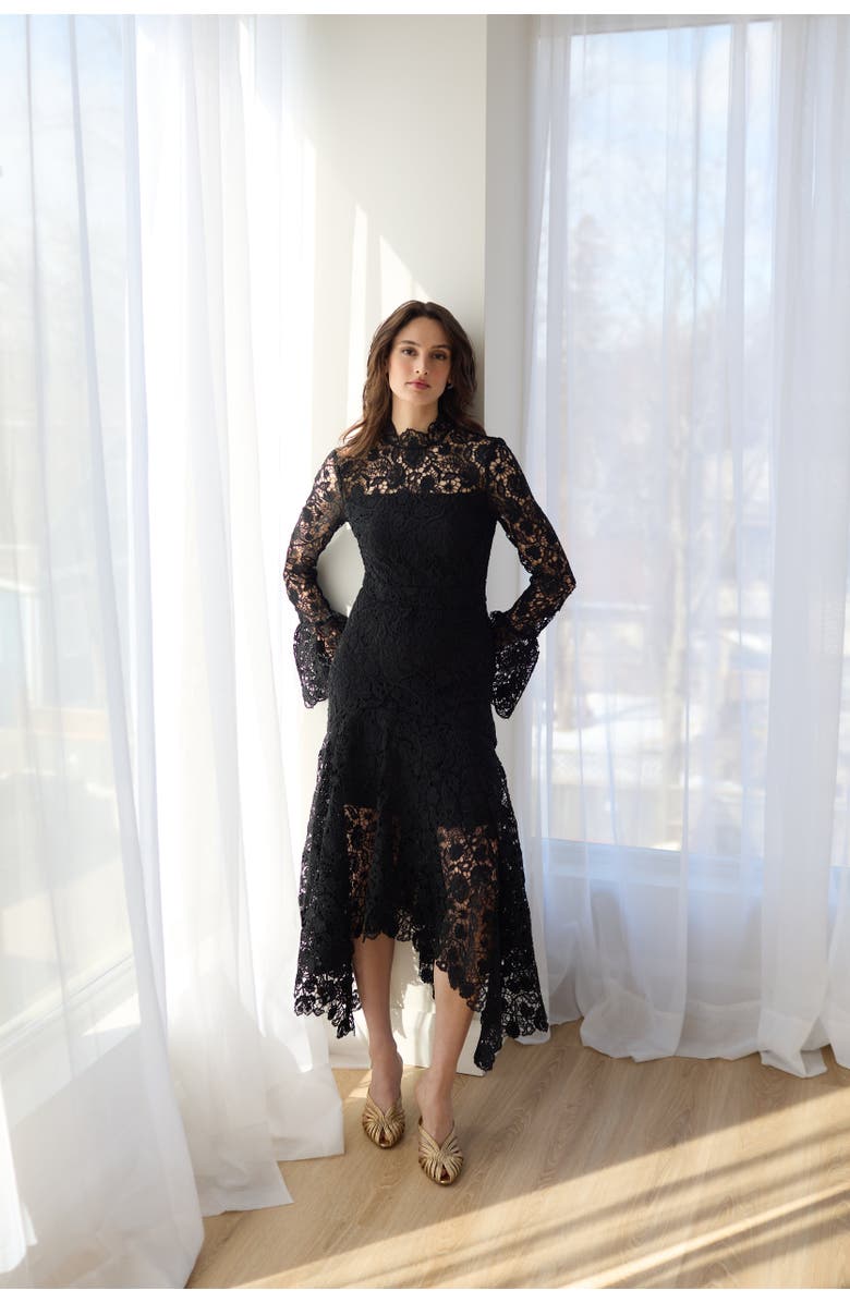 Vasiliki Leila High Neck Lace Dress, Alternate, color, Black