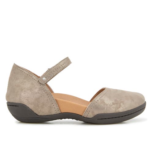 Jambu Margo In Brown