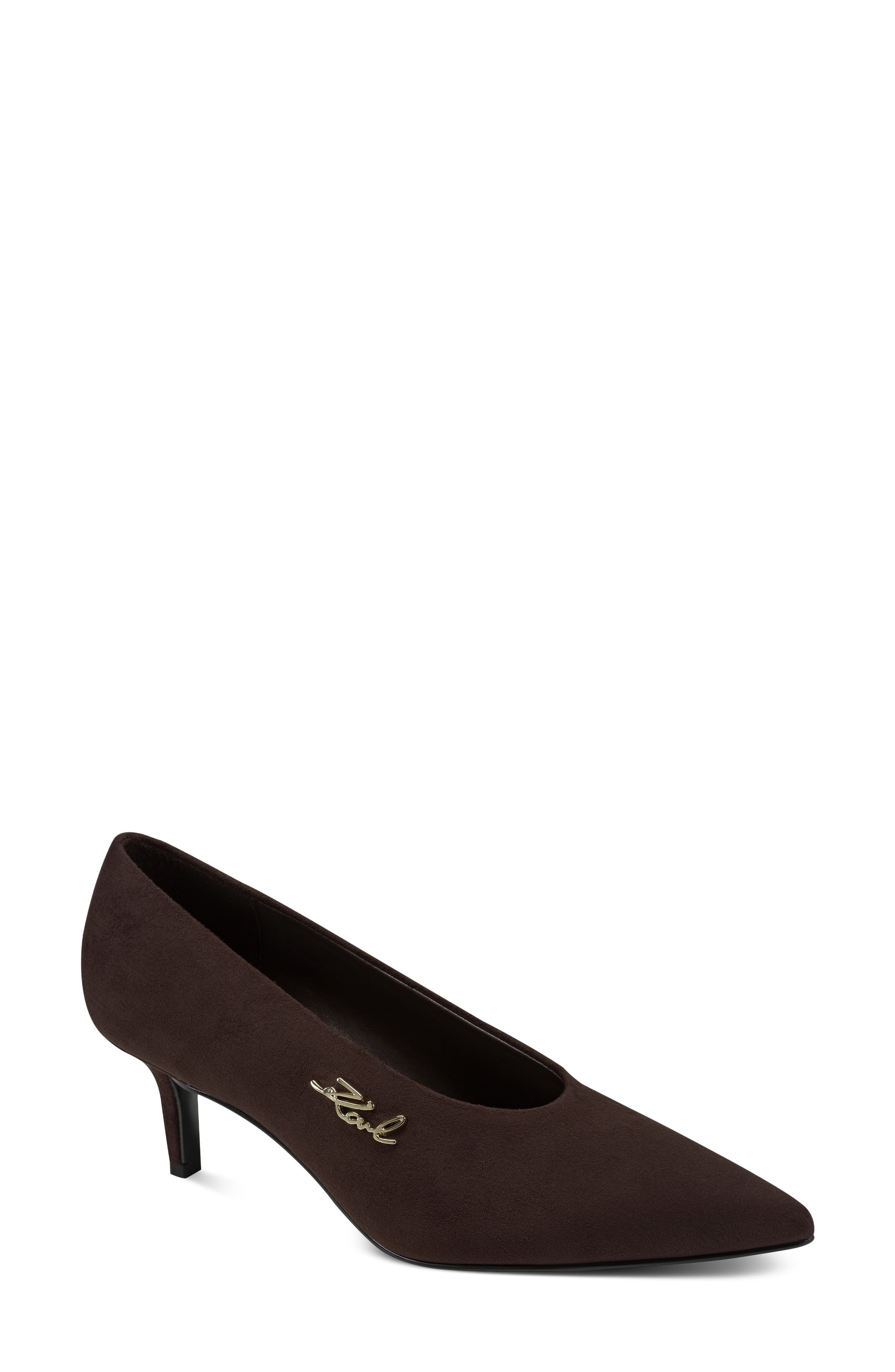 Lazuli Pointed Toe Pump, Main, color, CANYON BROWN