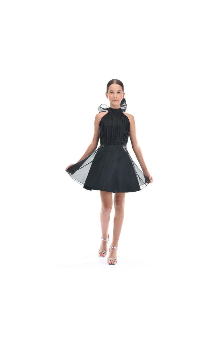 Tulleen Tivoli Dress, Alternate, color, Black
