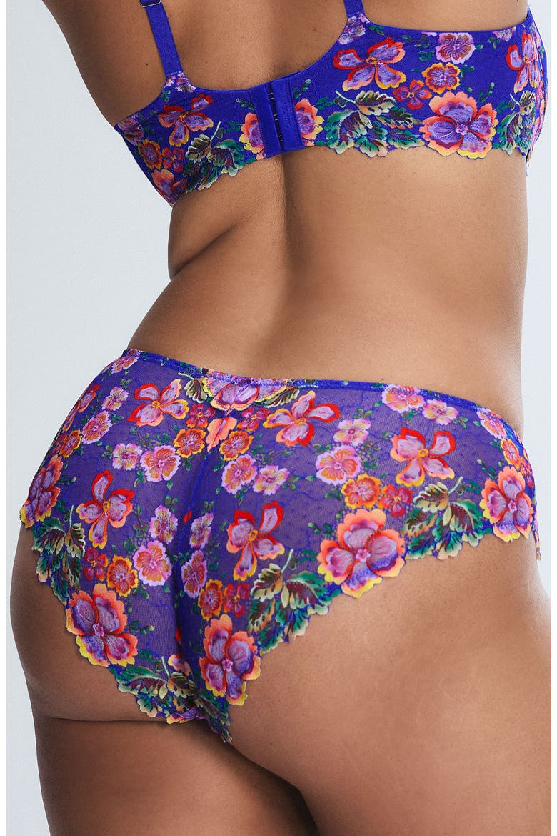 Sunchaser Lace Cheeky Briefs, Alternate, color, RENDEZVOUS BLUE