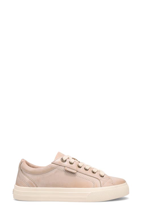 Taos Plim Soul Luxe Sneaker In Gray