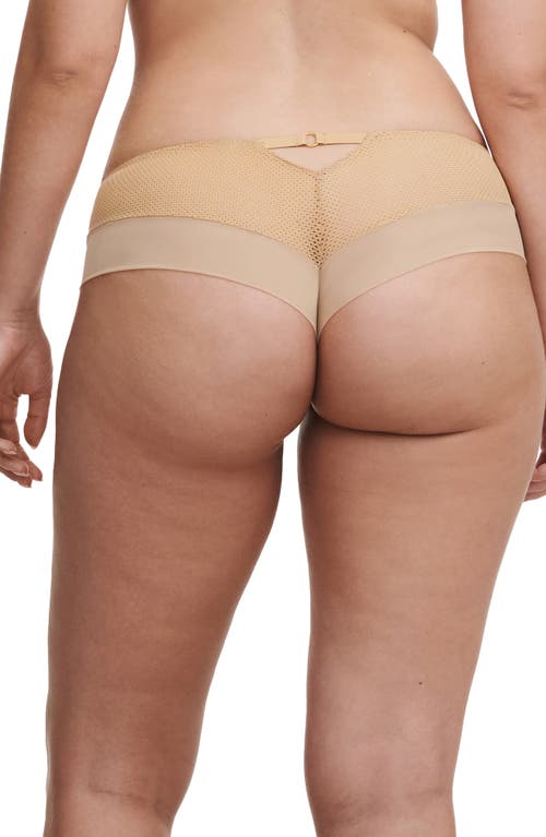CHANTELLE LINGERIE CHANTELLE LINGERIE FLEURS FLORAL EMBROIDERED HIPSTER PANTIES