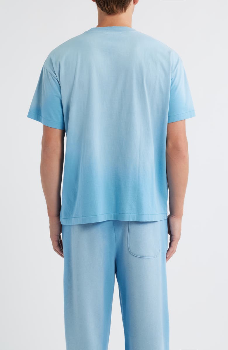Elwood Core Oversize Organic Cotton Jersey T-Shirt, Alternate, color, Sun Faded Baby Blue