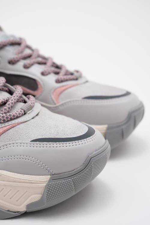 Prologue Shoes Europa Sneakers In Multi