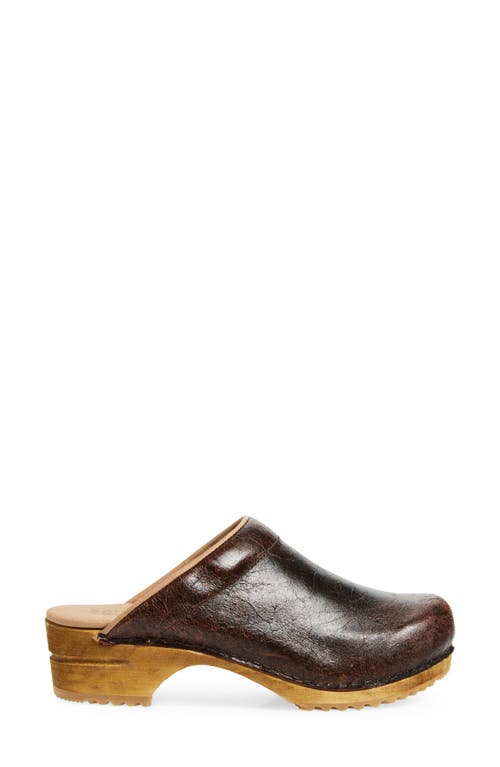 Sanita Melissa Clog In Brown