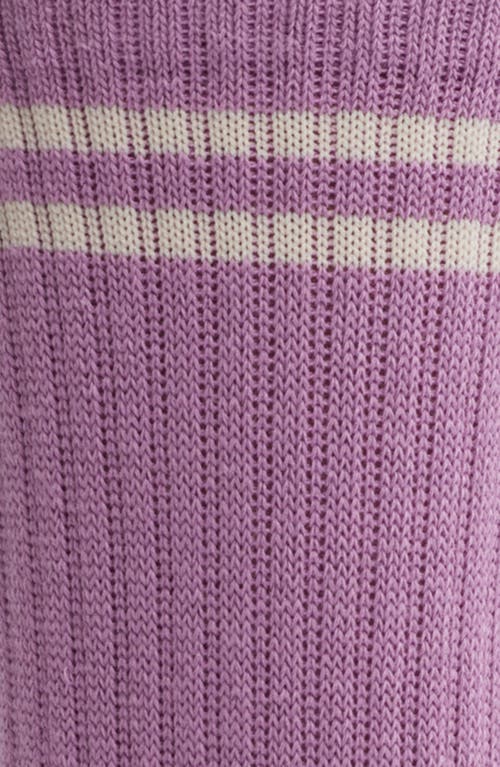 Le Bon Shoppe Boyfriend Stripe Cotton Blend Rib Crew Socks In Grape