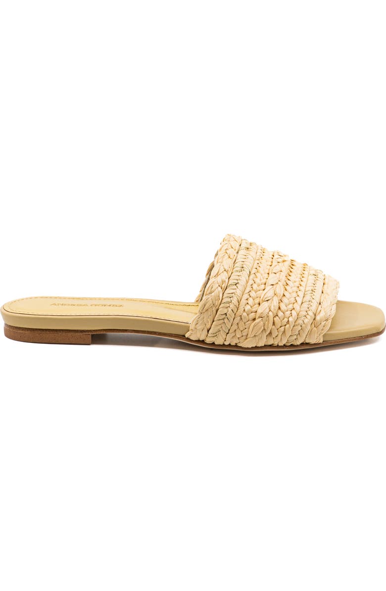 Andrea Gomez Denisse Raffia Slide Flat, Main, color, Natural Raffia