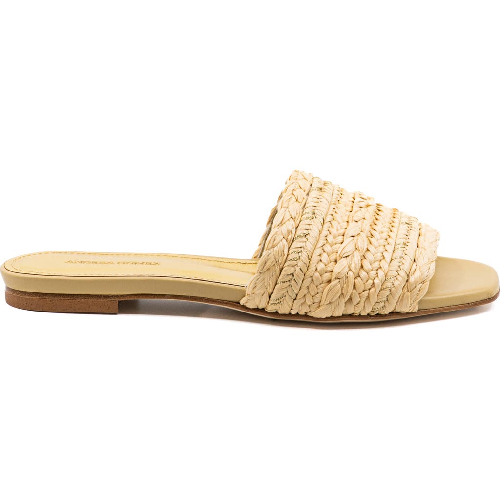 Andrea Gomez Denisse Raffia Slide Flat In Brown