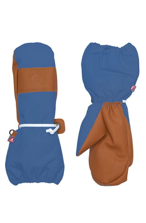 Northern Classics Waterproof Ski Mitten In Blue