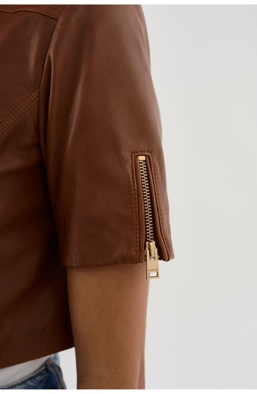 Lamarque Kirsi Gold | Cropped Biker Jacket In Brown