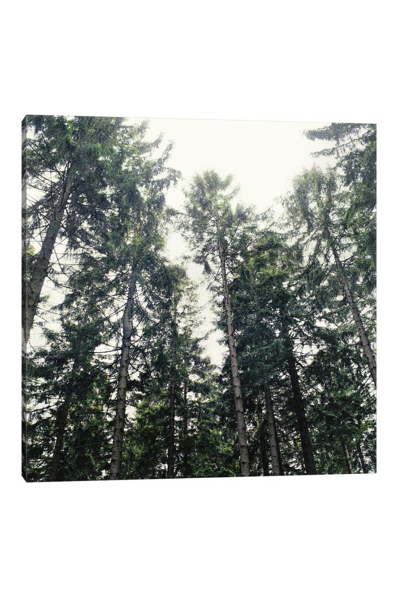 Up In The Woods by Tordis Kayma Canvas Wall Art, Main, color, GREEN