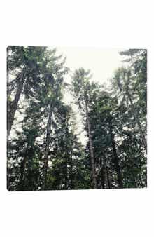 iCanvas Up In The Woods by Tordis Kayma Canvas Wall Art