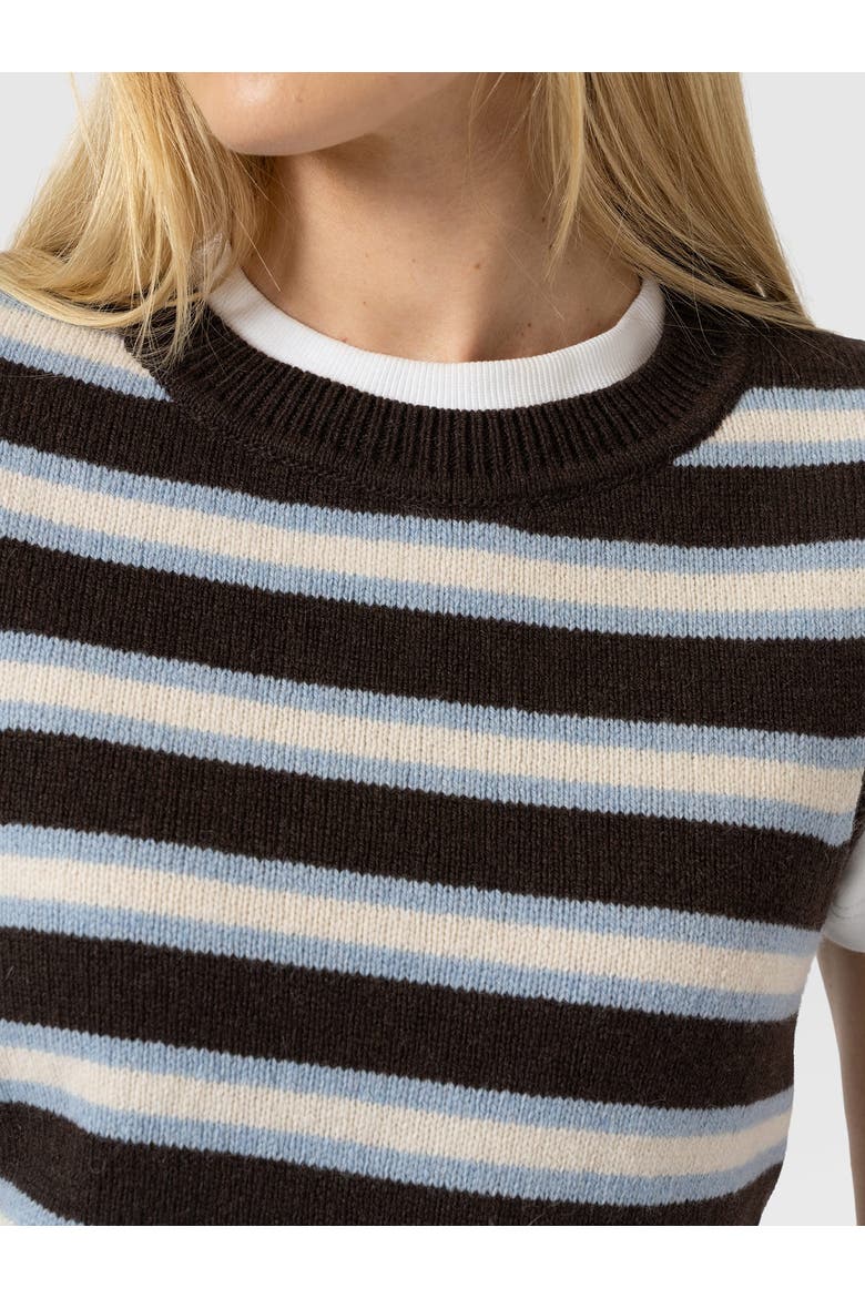 Oxford Cashmere Sleeveless Knit, Alternate, color, Brown Stripe
