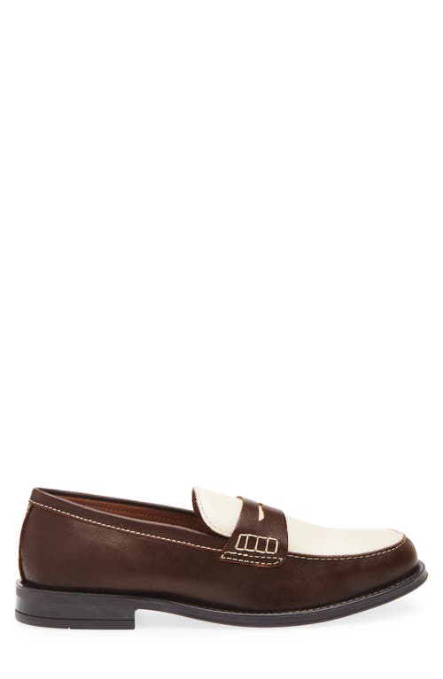 Steve Madden Draggo Penny Loafer In Brown