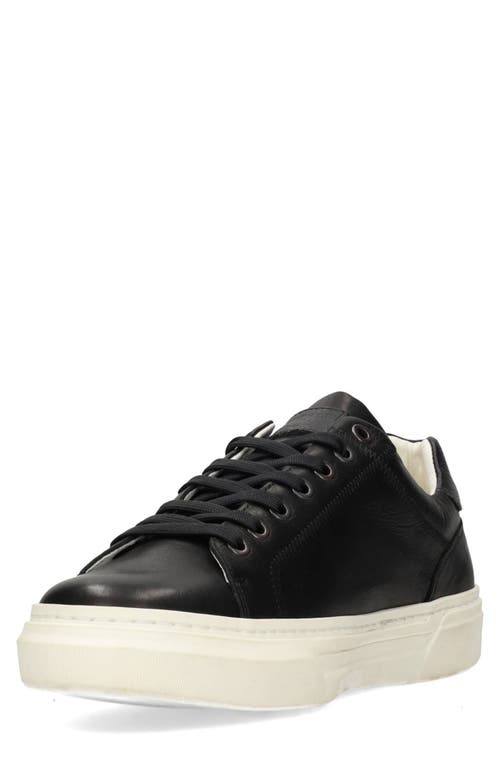Liverpool La City Sneaker In Black