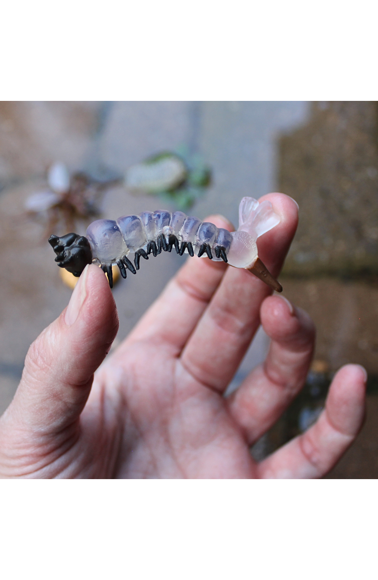 Safari Ltd. Life Cycle Of A Mosquito, Alternate, color, NO COLOR