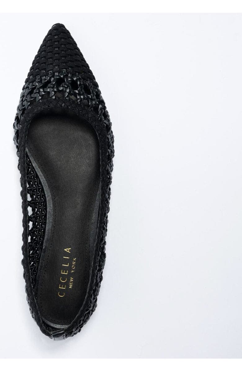 Cecelia New York Brie Woven Point Toe Ballet Flat, Alternate, color,