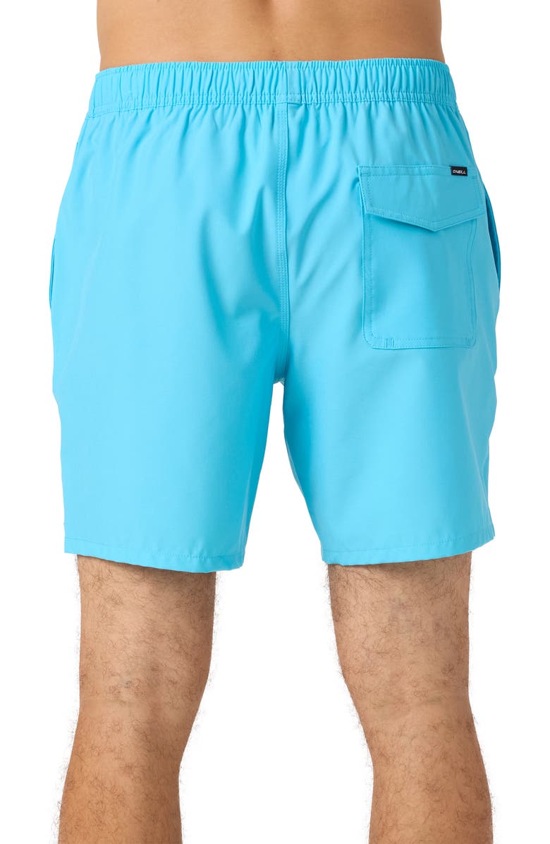 O'Neill Lennox Hermosa Swim Trunks, Alternate, color, Aquarius