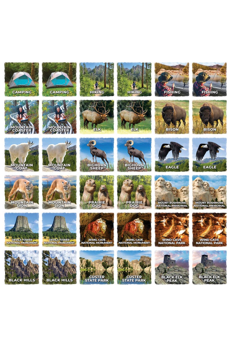 Jr Ranger - Black Hills Matching Game, Alternate, color, Multicolor
