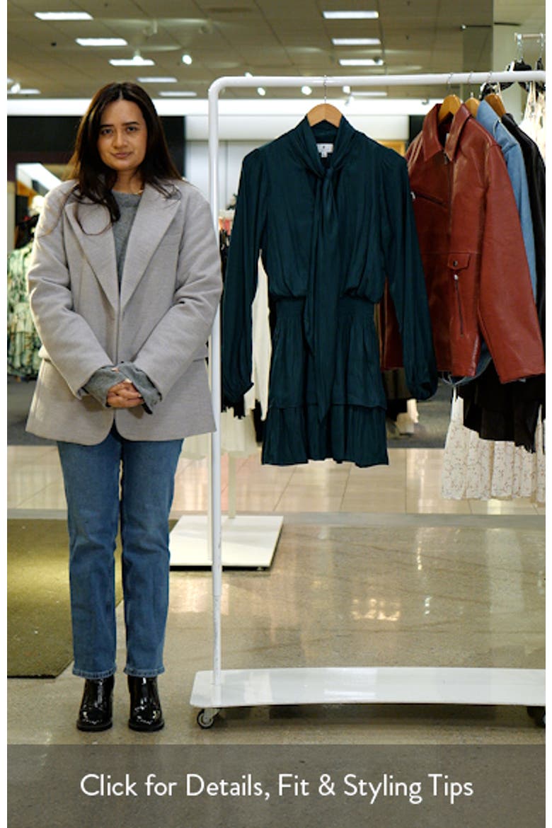 Tie Neck Long Sleeve Tiered Minidress video