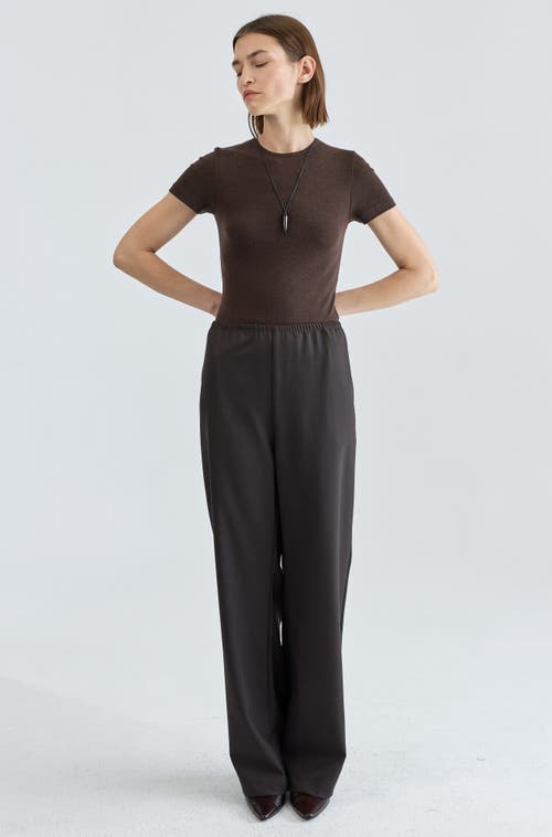 Almina Concept Short Sleeve Knit Top In Brown