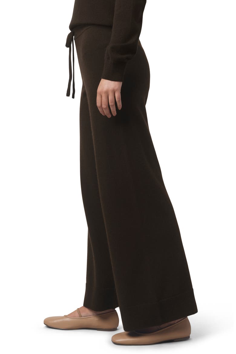 Hannah Sweater Pants, Alternate, color, SOFT CHOCOLATE