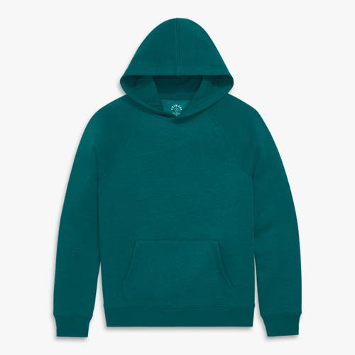 Primary Adult Cozy Fleece Pullover Hoodie In Green