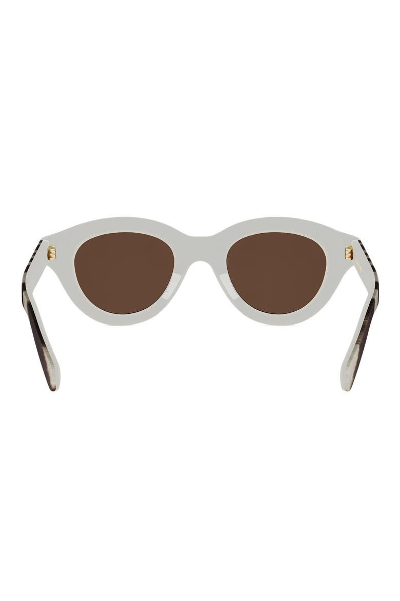 Triomphe 47mm Small Pantos Sunglasses (Women) | Nordstrom