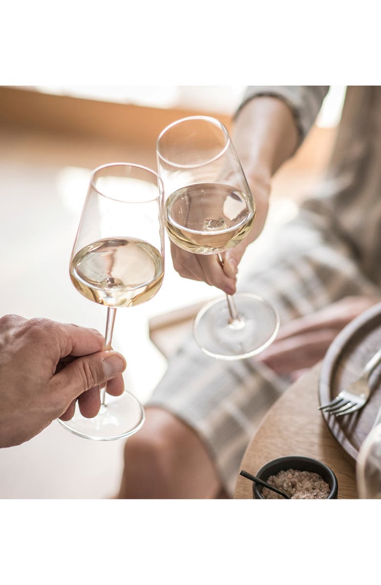 Zwiesel Glass Schott Zwiesel Vervino Set of 6 Sauvignon Blanc Wine Glasses, Alternate, color, Clear