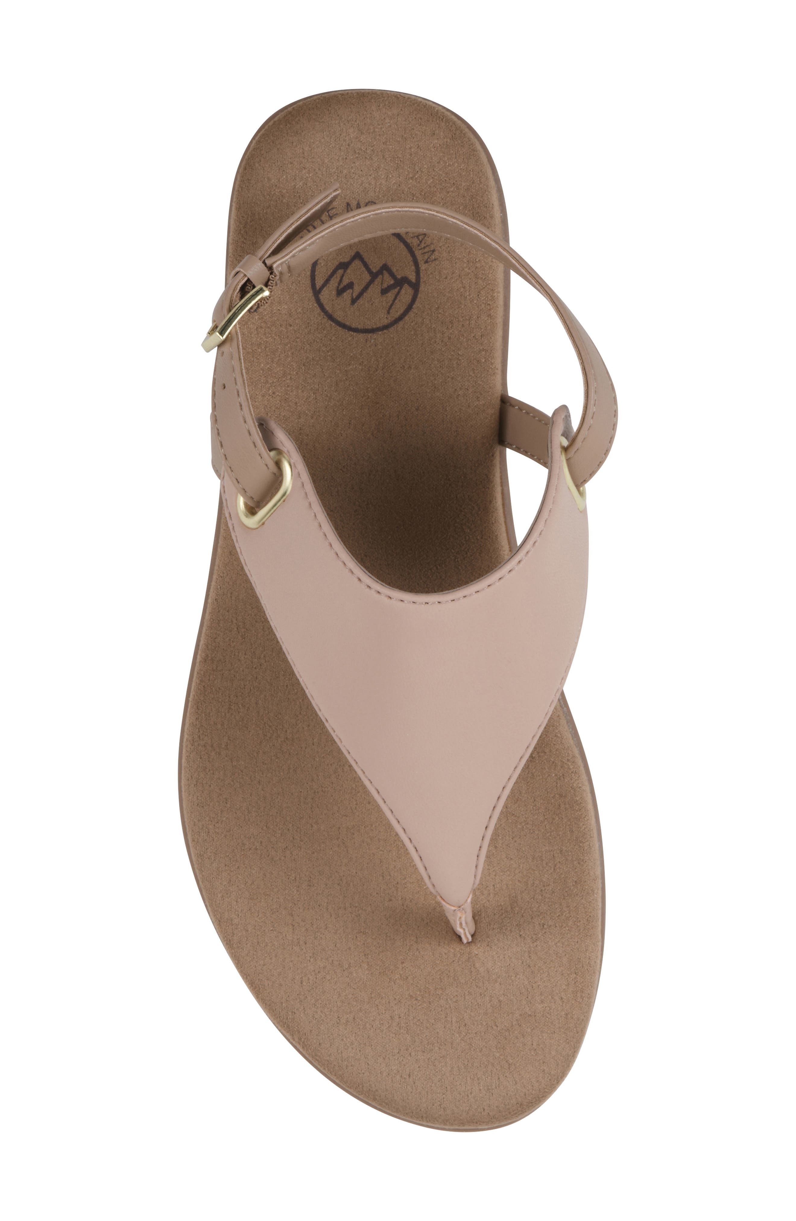 Lifted Slingback Sandal, Alternate, color, BLUSH/ NATURAL/ SMOOTH