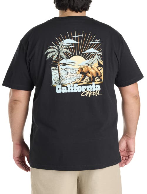 O'neill Big & Tall Hank The Tank Graphic Tee In Black