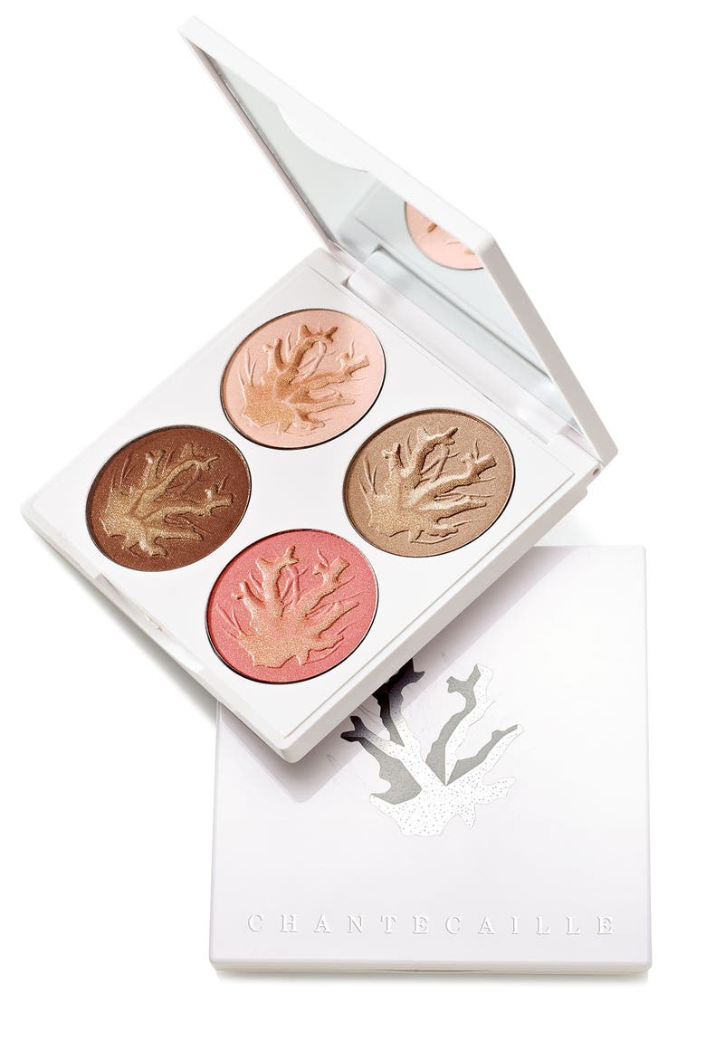 'Coral Reefs' Face Palette, Alternate, color, NO COLOR